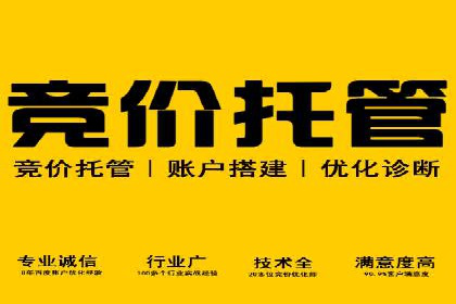 竞价广告的实战经验：一则科技公司的成功案例